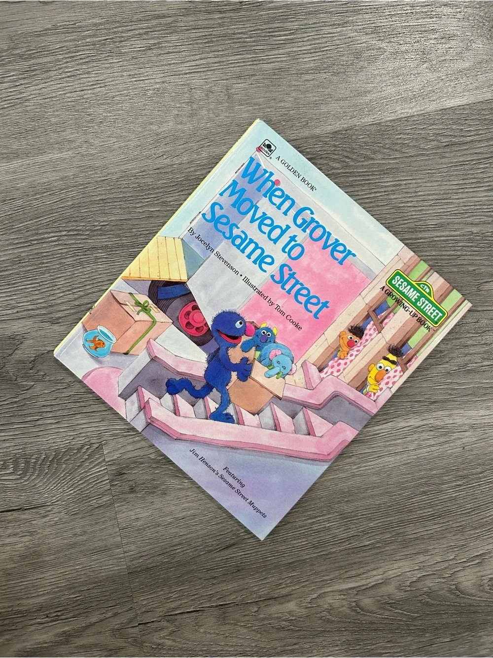 Sesame Street When Grover Moved to Sesame Street - Blue & Pink